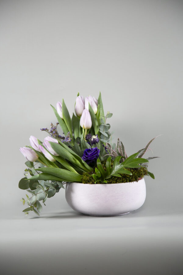 Tulip Bonsai - Image 3
