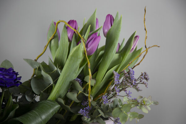 Bonsai Elegance Collection - Image 3