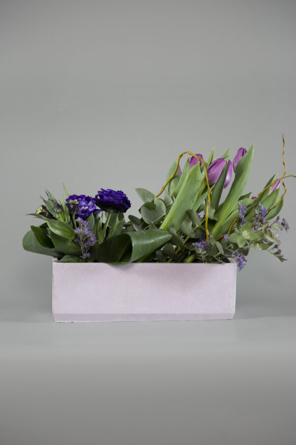 Bonsai Elegance Collection - Image 2