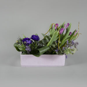 Bonsai Elegance Collection