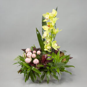 Diamond Dazzle Delight