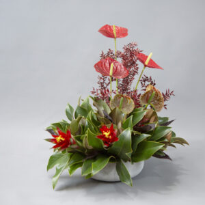 Golden Glamour Garden