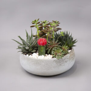 Sapphire Serenade Bouquet