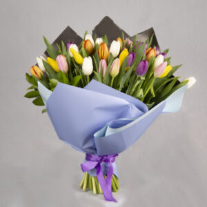 Whispering Winds Tulips