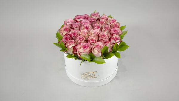 Pink Elegance