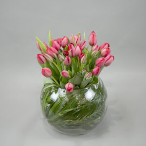 Majestic Spring Tulips