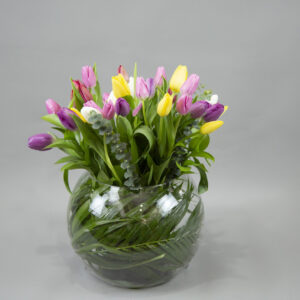 Sunny Serenade Tulips